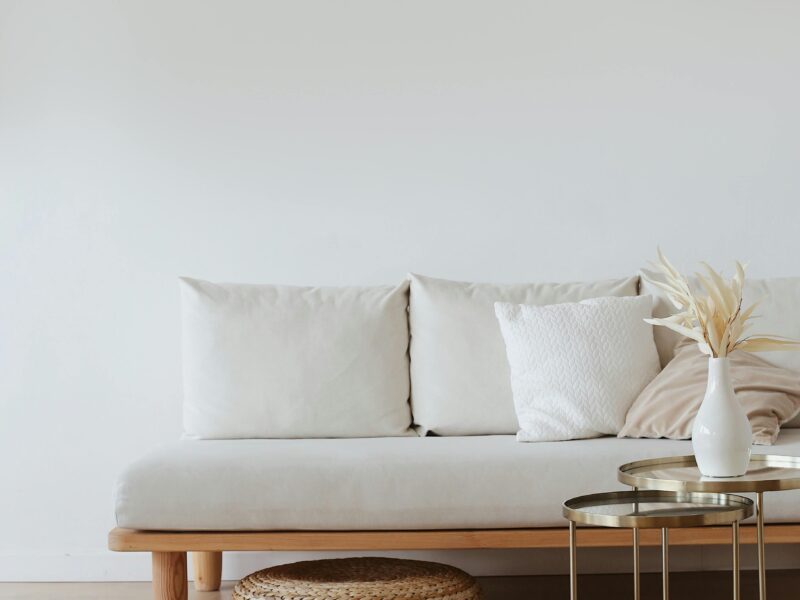 FreshNest Sofa Care